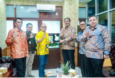 Jemput Bola ke PLN, Bupati OKU Selatan Minta Lima Desa Segera Dialiri Listrik dan Tegangan Diperkuat