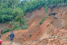 Longsor di OKU Selatan Tutup Akses Jalan Vital ke Desa Tanjung Harapan