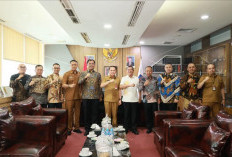 Bupati OKU Selatan Audiensi ke Kemendagri, Perkuat Sinergi Pengelolaan Keuangan dan Pembangunan Daerah