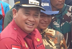 Banyuasin jadikan dua kawasan transmigrasi pusat pertumbuhan