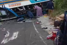 Kecelakaan Bus di Danau Ranau OKU Selatan, Diduga Tak Kuat Menanjak