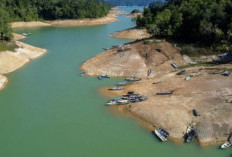 Misteri dari Tahun 1974 Muncul ke Permukaan, Terungkap Setelah 50 Tahun Terkubur di Dasar Air