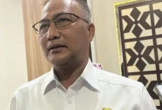 Sumsel tetap tak izinkan angkutan batu bara melintas, terkait permintaan PLN soal pasokan PLTU Bengkulu