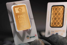 Harga Emas Antam Turun Drastis Sabtu Ini