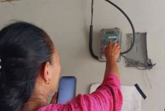 Diskon Listrik Februari 2026 Resmi Berlaku, Ini Cara Dapat Potongan Tarif dan Syarat Lengkapnya