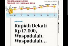 Nilai Tukar Rupiah Melemah, Isu Independensi Bank Sentral Jadi Sorotan