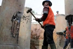 Mayoritas TKA di Sumsel dari China, capai 70 persen