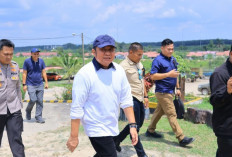 Harga Plastik Mencekik, Gubernur Sumsel Sarankan UMKM Beralih ke Daun Pisang