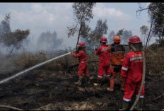 Sejumlah Daerah Ajukan Status Siaga Karhutla Lebih Awal, Antisipasi Musim Kemarau 2026